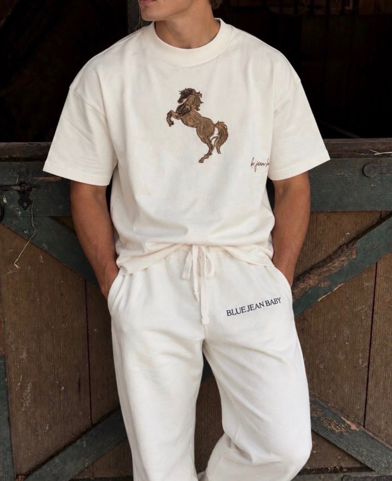 Horse tee and sweatpants together